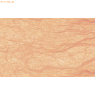 Ludwig Bähr Digital Strohseide 25g/qm A4 VE=10 Blatt apricot von Ludwig Bähr