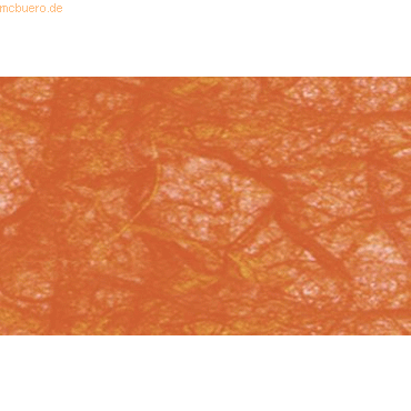 Ludwig Bähr Digital Strohseide 25g/qm A4 VE=10 Blatt orange von Ludwig Bähr