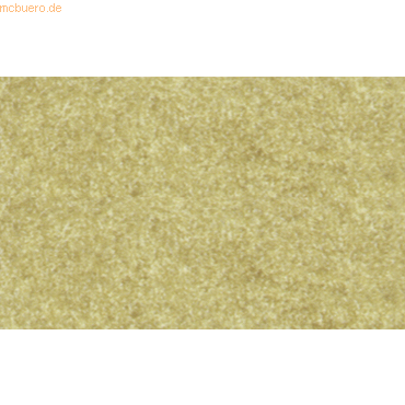Ludwig Bähr Elefantenhaut 110g/qm A4 VE=50 Blatt chamois Ludwig Bähr Elefantenhaut 110g/qm A4 VE=50 Blatt chamois von Ludwig Bähr