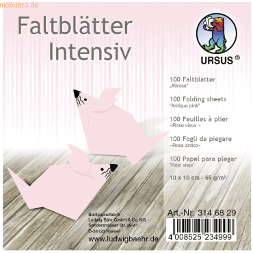 Ludwig Bähr Faltblätter Intensiv Uni 10x10cm VE=100 Blatt altrosa von Ludwig Bähr