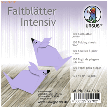 Ludwig Bähr Faltblätter Intensiv Uni 10x10cm VE=100 Blatt flieder von Ludwig Bähr