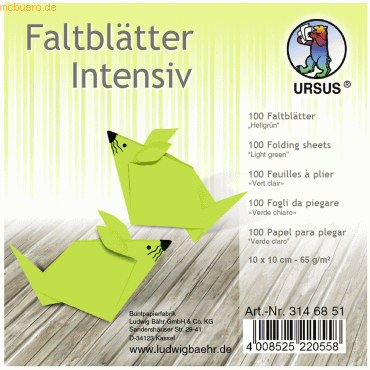 Ludwig Bähr Faltblätter Intensiv Uni 10x10cm VE=100 Blatt hellgrün von Ludwig Bähr