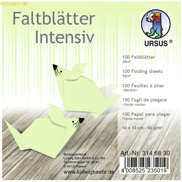 Ludwig Bähr Faltblätter Intensiv Uni 10x10cm VE=100 Blatt mint von Ludwig Bähr