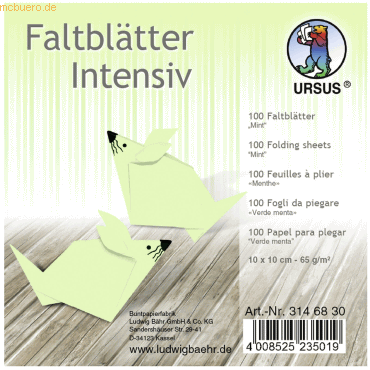 Ludwig Bähr Faltblätter Intensiv Uni 10x10cm VE=100 Blatt mint Ludwig Bähr Faltblätter Intensiv Uni 10x10cm VE=100 Blatt mint von Ludwig Bähr
