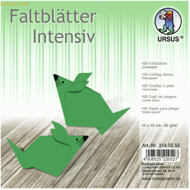 Ludwig Bähr Faltblätter Intensiv Uni 15x15cm VE=100 Blatt dunkelgrün von Ludwig Bähr
