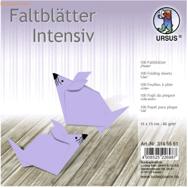 Ludwig Bähr Faltblätter Intensiv Uni 15x15cm VE=100 Blatt flieder von Ludwig Bähr