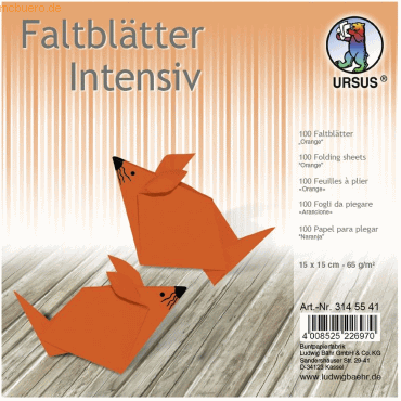 Ludwig Bähr Faltblätter Intensiv Uni 15x15cm VE=100 Blatt orange Ludwig Bähr Faltblätter Intensiv Uni 15x15cm VE=100 Blatt orange von Ludwig Bähr