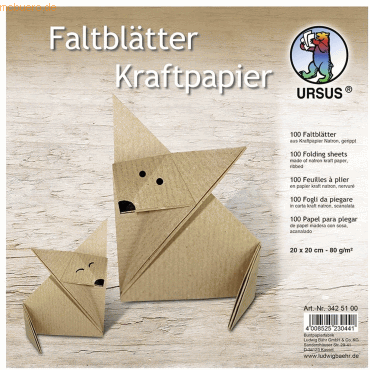 Ludwig Bähr Faltblätter Kraftpapier 80g/qm 20x20cm VE=100 Blatt Ludwig Bähr Faltblätter Kraftpapier 80g/qm 20x20cm VE=100 Blatt von Ludwig Bähr