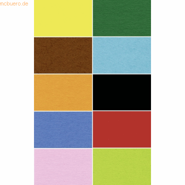 Ludwig Bähr Fotokarton 300g/qm 50x70cm VE=50 Bogen 10 Farben sortiert Ludwig Bähr Fotokarton 300g/qm 50x70cm VE=50 Bogen 10 Farben sortiert von Ludwig Bähr