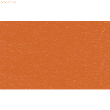 Ludwig Bähr Fotokarton 300g/qm A4 VE=50 Blatt orange Ludwig Bähr Fotokarton 300g/qm A4 VE=50 Blatt orange von Ludwig Bähr