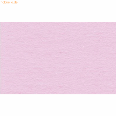 Ludwig Bähr Fotokarton 300g/qm A4 VE=50 Blatt rosa Ludwig Bähr Fotokarton 300g/qm A4 VE=50 Blatt rosa von Ludwig Bähr