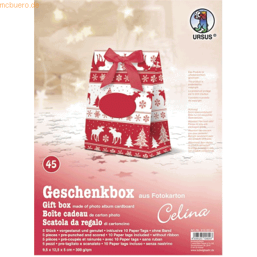 Ludwig Bähr Geschenkbox Celina 9,5x12,5x5cm VE=5 Stück Motiv: 45 von Ludwig Bähr