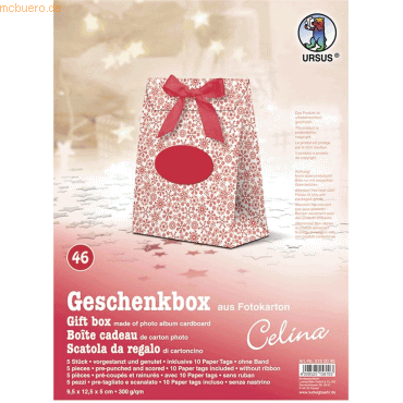 Ludwig Bähr Geschenkbox Celina 9,5x12,5x5cm VE=5 Stück Motiv: 46 von Ludwig Bähr