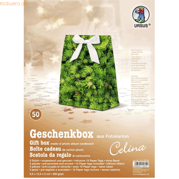 Ludwig Bähr Geschenkbox Celina 9,5x12,5x5cm VE=5 Stück Motiv: 50 von Ludwig Bähr