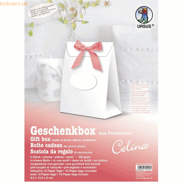 Ludwig Bähr Geschenkbox Celina 9,5x12,5x5cm VE=5 Stück weiß von Ludwig Bähr