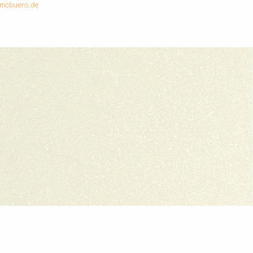 Ludwig Bähr Spezialpapier Starlight 120g/qm 23x33cm VE=5 Blatt elfenbe Ludwig Bähr Spezialpapier Starlight 120g/qm 23x33cm VE=5 Blatt elfenbe von Ludwig Bähr