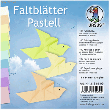 Ludwig Bähr Tonpapier-Faltblätter 130g/qm Pastellfarben 14x14cm VE=100 von Ludwig Bähr