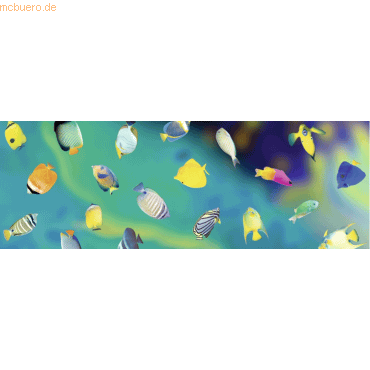 Ludwig Bähr Transparentpapier 115g/qm A4 VE=25 Blatt Maritim Fische Ludwig Bähr Transparentpapier 115g/qm A4 VE=25 Blatt Maritim Fische von Ludwig Bähr