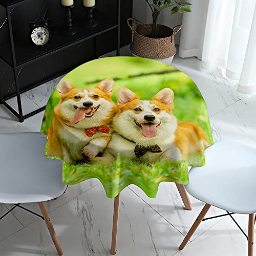 Lukery Tischdecke Abwaschbar Gartentischdecke, Tischdecke Rund Tischdecken 3D Corgi Tischtuch Outdoor Indoor, Tisch Schutz für Geburtstag Hochzeit Festival (Durchmesser 100cm,Zwei Corgis) von Lukery
