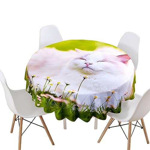 Lukery Tischdecke Abwaschbar Gartentischdecke, Tischdecke Rund Tischdecken 3D Katze Tischtuch Outdoor Indoor, Tisch Schutz für Geburtstag (Gänseblümchen Katze,Durchmesser 160cm) von Lukery