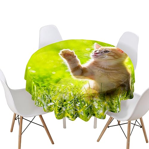 Lukery Tischdecke Abwaschbar Gartentischdecke, Tischdecke Rund Tischdecken 3D Katze Tischtuch Outdoor Indoor, Tisch Schutz für Geburtstag (Schmetterling Katze,Durchmesser 100cm) von Lukery