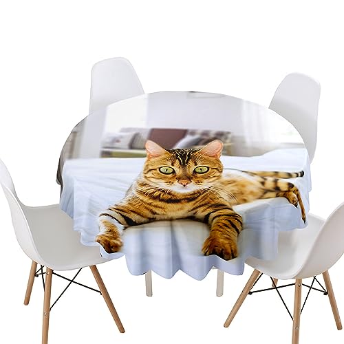 Lukery Tischdecke Abwaschbar Gartentischdecke, Tischdecke Rund Tischdecken 3D Katze Tischtuch Outdoor Indoor, Tisch Schutz für Geburtstag (Zibetkatze,Durchmesser 120cm) von Lukery