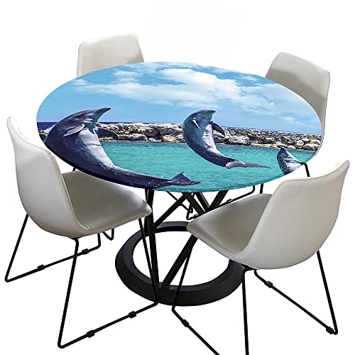 Lukery Tischdecke Abwaschbar Lotuseffekt Gartentischdecke, 3D-Delfin Gummiband Tischdecke Rund Tischdecken Tischtuch für Outdoor Indoor Schutz (Durchmesser 140cm,Himmelblau) von Lukery