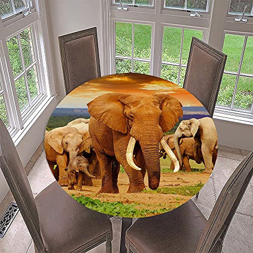 Lukery Tischdecke Abwaschbar Lotuseffekt Gartentischdecke, Elefanten Gummiband Tischdecke Rund Tischdecken Tischtuch für Outdoor Indoor Schutz (Durchmesser 100cm,Elefant) von Lukery