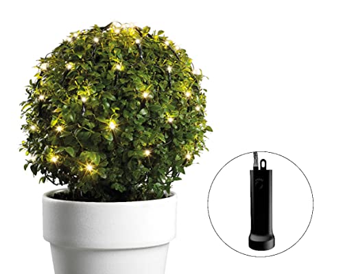 Lumineo Buchsbaumnetz Battery Lights warm weiß - 60 LEDs - Durchmesser 35 cm - Timer - batteriebetrieben von Lumineo