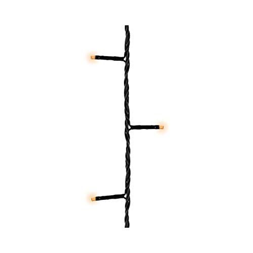 Lumineo Lichterkette Basic klassisch warm - 40 LEDs - 3 Meter - schwarzes Kabel - Indoor & Outdoor - Timer - dimmbar - IP44 Schutz von Lumineo