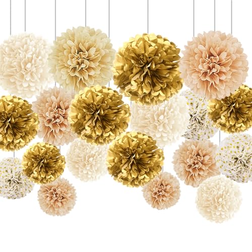Pompons Deko, 20 Stück Seidenpapier Pompons Deko, Tissue Pom Poms, Seidenpapier-Pompons, Tissue Papier Pom Poms für Hochzeitsdeko, Geburtstag, Brautdusche, Verlobungsfeier Pompons Deko, 20 Stück Seidenpapier Pompons Deko, Tissue Pom Poms, Seidenpapier-Pompons, Tissue Papier Pom Poms für Hochzeitsdeko, Geburtstag, Brautdusche, Verlobungsfeier von Lunyloer