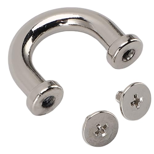 Luqeeg Bogenbrückenschnalle, 10 Set Metall D Ringstecker Schnallen mit 20 Schrauben, U Form Metall D Ringstecker Häppchen für Bag -Geldbörse DIY -Handwerk (Silver) von Luqeeg