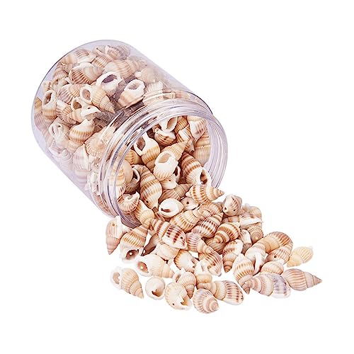 Lurrose 1 Schachtel Diy Natürliche Deko für Strand und Hochzeitsfeiern Seashells für Aquarien Vasen und Bastelprojekte mit Vielseitigen Verwendungsmöglichkeiten von Lurrose