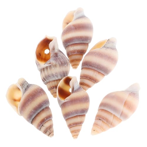 Lurrose 100 Stück Muschel Anhänger Schmuckherstellungs Sets Schmuck Bastelbedarf Muschel Piercing Schmuck Aquarium Zubehör Perlen Küsten Schmuckperlen Aquarium Muscheln Lurrose 100 Stück Muschel Anhänger Schmuckherstellungs Sets Schmuck Bastelbedarf Muschel Piercing Schmuck Aquarium Zubehör Perlen Küsten Schmuckperlen Aquarium Muscheln von Lurrose