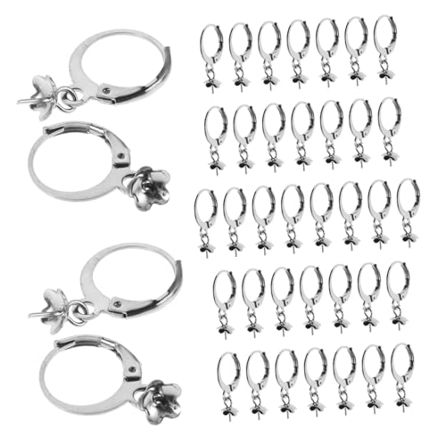 Lurrose 40 Stück Lever Back Ohrring Verschlüsse aus Edelstahl Französische Ohrhaken Robust und Verformungsresistent für DIY Schmuckherstellung und Vielseitige Schmuckzubehör Elegantes von Lurrose