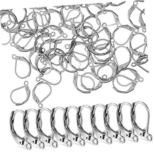 Lurrose 5 Sätze Drop-ohrring-haken Ohrring Anhänger Ohrring Set Schmuckzubehör Schmuck Making Kit Ohrhaken Für Die Schmuckherstellung Ohrringe Machen Haken Rostfreier Stahl 100 Stück * 5 von Lurrose