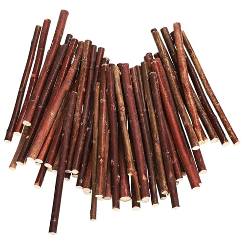 Lurrose Holzstäbchen zum Basteln, 50 Stück, 15 cm, natürliche Birkenzweige, Bastelstäbe, Zweige, Äste, Vasenfüller, Tafelaufsätze für Hochzeit, Party, Zuhause, Hotel, Dekoration Lurrose Holzstäbchen zum Basteln, 50 Stück, 15 cm, natürliche Birkenzweige, Bastelstäbe, Zweige, Äste, Vasenfüller, Tafelaufsätze für Hochzeit, Party, Zuhause, Hotel, Dekoration von Lurrose