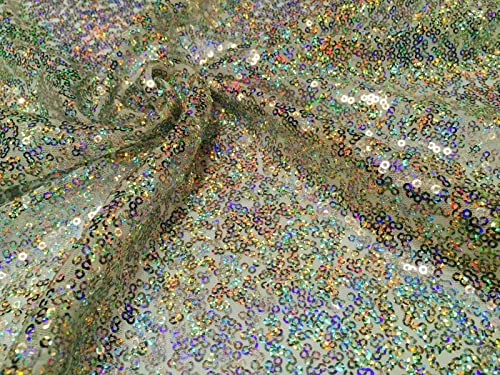 3 mm Paillettenstoff, 2-Wege-Stretch, Fischschuppen, mehrfarbiges Material für Karnevals-Bastelarbeiten, 130 cm breit (1 Meter, Hologramm-Silber) von LushFabric