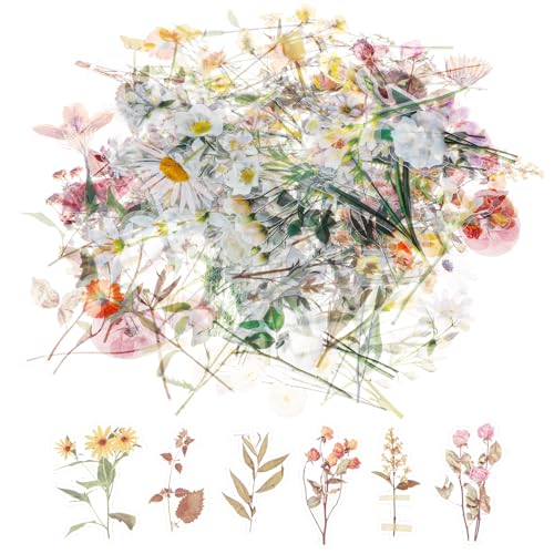 120 Stück Blumen Scrapbook Stickers Transparente PET Pflanzen Blumen Sticker Retro Wasserfest Dekorative Aufkleber für DIY Fotoalbum Tagebuch Notizbuch Scrapbook Zubehör 120 Stück Blumen Scrapbook Stickers Transparente PET Pflanzen Blumen Sticker Retro Wasserfest Dekorative Aufkleber für DIY Fotoalbum Tagebuch Notizbuch Scrapbook Zubehör von Lusofie