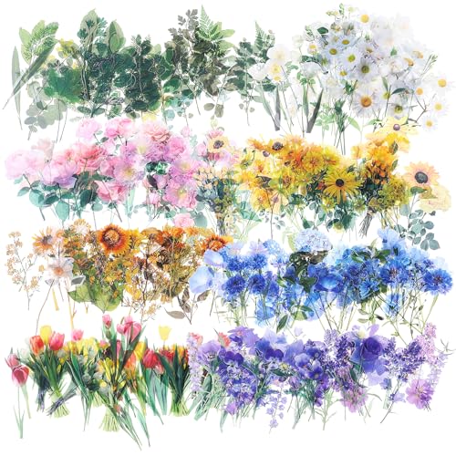 320 Stück Blumen Scrapbooking Aufkleber Pflanzen Vintage Scrapbook Stickers Transparente Bunte Blumenaufkleber Können für die Dekoration von Fotoalben Tagebuch Notizbüchern Verwendet Werden 320 Stück Blumen Scrapbooking Aufkleber Pflanzen Vintage Scrapbook Stickers Transparente Bunte Blumenaufkleber Können für die Dekoration von Fotoalben Tagebuch Notizbüchern Verwendet Werden von Lusofie