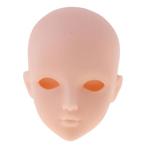 Luwecf 2X Weiblicher Puppenkopf Modell Körperteil Passend für 1/6 BJD OB Puppe Ohne Augen von Luwecf