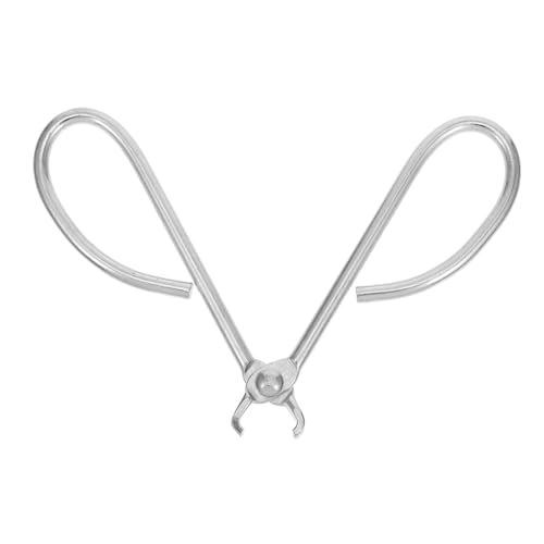 Luxshiny Zange Zum Schälen Von Pinienkernen Nussknacker-schäler Kastanie-clip Nussknacker Kastanie Clip Erdnussschälwerkzeug Edelstahl -nusscracker Silver Rostfreier Stahl Luxshiny Zange Zum Schälen Von Pinienkernen Nussknacker-schäler Kastanie-clip Nussknacker Kastanie Clip Erdnussschälwerkzeug Edelstahl -nusscracker Silver Rostfreier Stahl von Luxshiny