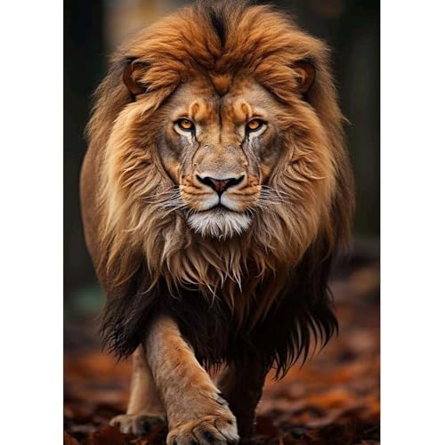 Lxmsja 5D Diamond Painting Löwe, Diamond Painting Tiere Erwachsene, Löwe Diamant Painting Bilder Erwachsene, Full DIY Diamant Kunst Malerei Stickerei Set Kreuzstich Bilder Home Wand Dekor 30x40cm Lxmsja 5D Diamond Painting Löwe, Diamond Painting Tiere Erwachsene, Löwe Diamant Painting Bilder Erwachsene, Full DIY Diamant Kunst Malerei Stickerei Set Kreuzstich Bilder Home Wand Dekor 30x40cm von Lxmsja