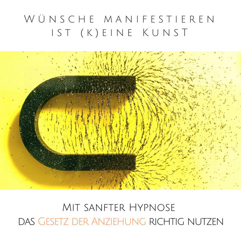 Wünsche manifestieren ist (k)eine Kunst - Das Gesetz der Resonanz entfesseln - Patrick Lynen (Hörbuch-Download) von Lynen Media GmbH