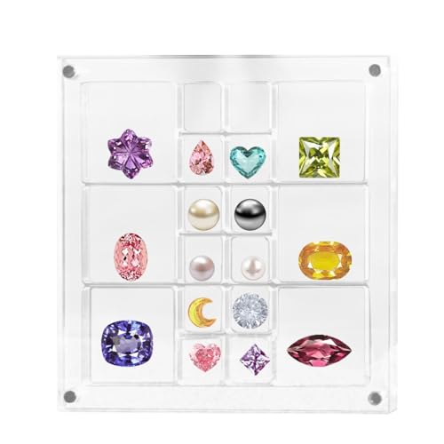 Muschelaufbewahrungsbox, transparente Muschel-Präsentationsbox, große Vitrine, Magnetverschluss, transparenter Behälter für Seestern-Schmuckstücke, dekorativer Organizer von Lyricalist