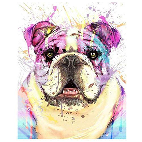 Lznxzq Malen Nach Zahlen Kits Aquarell Englische Bulldogge Malen Nach Zahlen Für Erwachsene Und Kinder DIY Ölgemälde Geschenk-Kits 40x50cm von Lznxzq