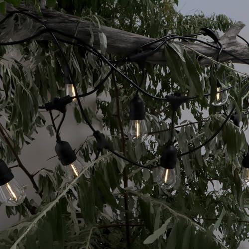 M Ledme LED-Solar-Lichterkette für den Außenbereich, 7,5 m, 10 Lampen, warmes Licht, 3000 K, IP65, wasserdicht, inklusive Dämmerungssensor, Dekoration für Terrasse, Garten, Hof, Eingang und Partys M Ledme LED-Solar-Lichterkette für den Außenbereich, 7,5 m, 10 Lampen, warmes Licht, 3000 K, IP65, wasserdicht, inklusive Dämmerungssensor, Dekoration für Terrasse, Garten, Hof, Eingang und Partys von M Ledme