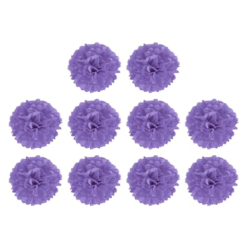 M METERXITY 10er Packung Tissue Pom Poms Blumen - Hochzeitsdekoration, langlebig & schön, geeignet für Geburtstag/Party/Hochzeit (15 cm, Lila) von M METERXITY