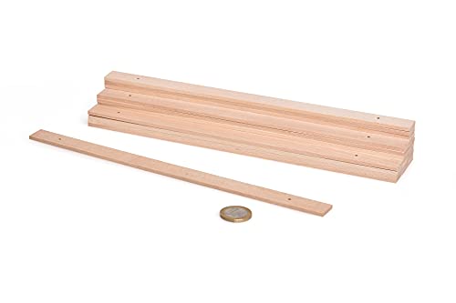 Lamellen/Rührstäbe natur aus Buche mit 2 Löchern 258x16x3mm 100 Stück Lamellen/Rührstäbe natur aus Buche mit 2 Löchern 258x16x3mm 100 Stück von M METRIE