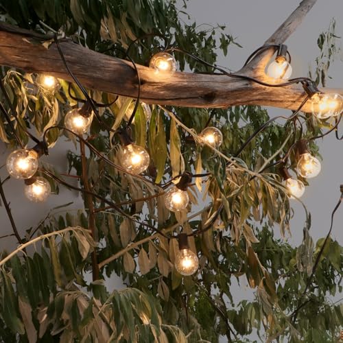M mimotec Lichterkette für den Außenbereich, elektrisches Kabel, 7,5 m, 25 Glühbirnen, warmes Licht, 2200 K, IP56, wasserdicht, Dekoration für Terrasse, Eingang, Hof und Garten M mimotec Lichterkette für den Außenbereich, elektrisches Kabel, 7,5 m, 25 Glühbirnen, warmes Licht, 2200 K, IP56, wasserdicht, Dekoration für Terrasse, Eingang, Hof und Garten von M mimotec